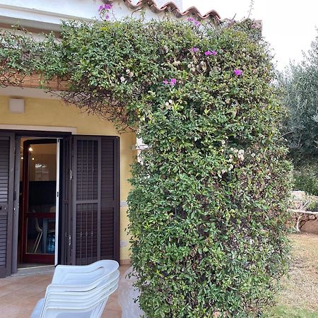 Tavolara Paradise Home Porto San Paolo  Exteriér fotografie