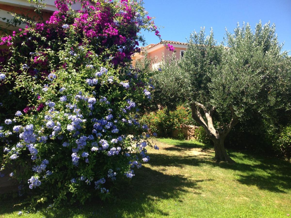 Tavolara Paradise Home Porto San Paolo  Exteriér fotografie