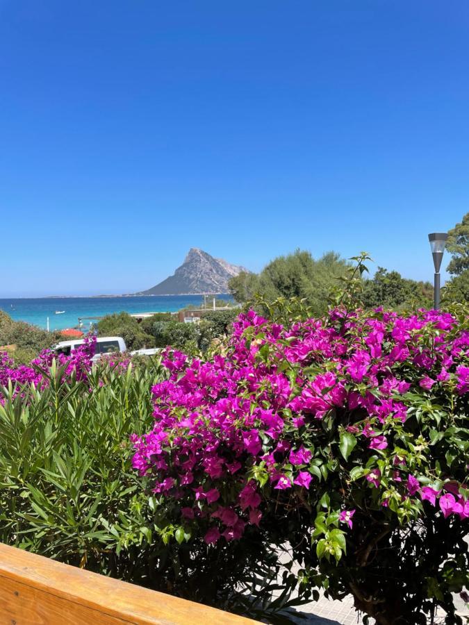 Tavolara Paradise Home Porto San Paolo  Exteriér fotografie