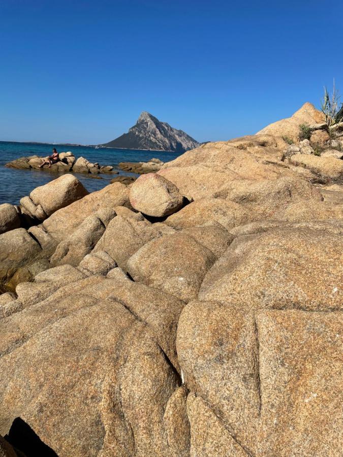 Tavolara Paradise Home Porto San Paolo  Exteriér fotografie