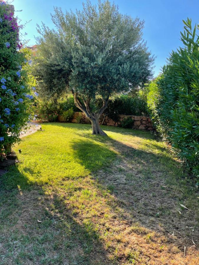 Tavolara Paradise Home Porto San Paolo  Exteriér fotografie