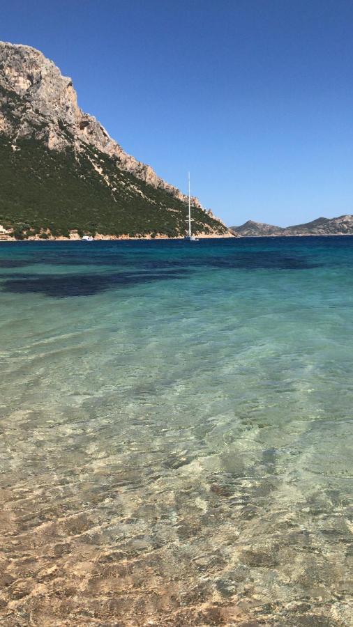 Tavolara Paradise Home Porto San Paolo  Exteriér fotografie