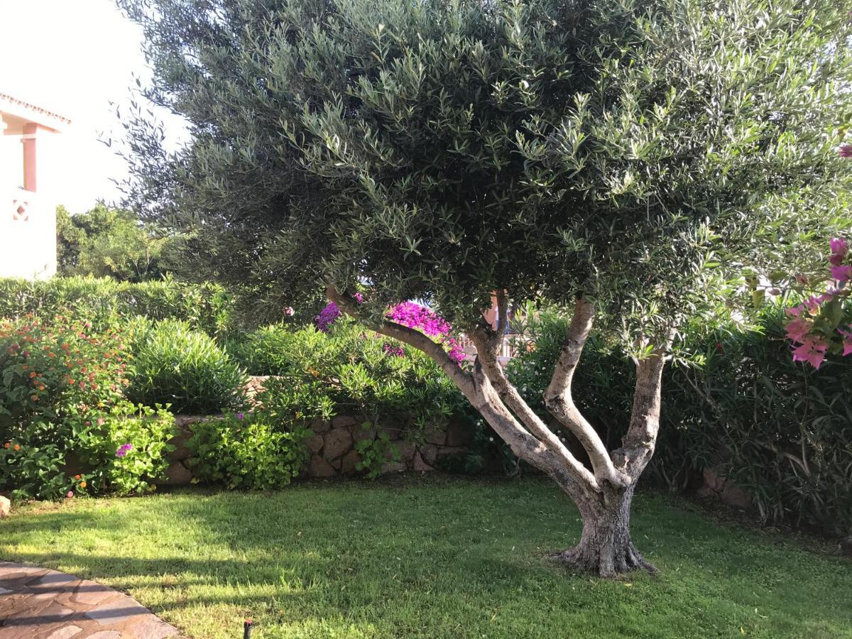 Tavolara Paradise Home Porto San Paolo  Exteriér fotografie